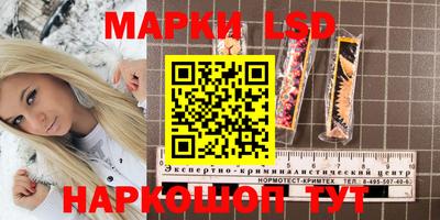 шишки Чебоксары