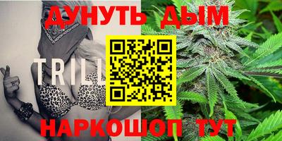 прущие грибы Чебаркуль