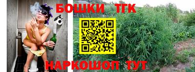 шишки Чебоксары