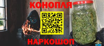 прущие грибы Чебаркуль