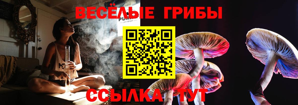 Псилоцибиновые грибы прущие грибы Воронеж