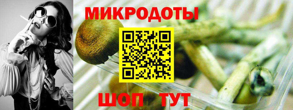 Воронеж  Галлюциногенные грибы Psilocybe  Вход с VPN  Псилоцибиновые грибы Magic Shrooms 